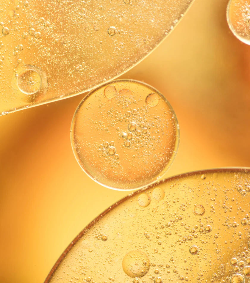 Banner 002