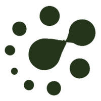essenzaVital Ico Logo